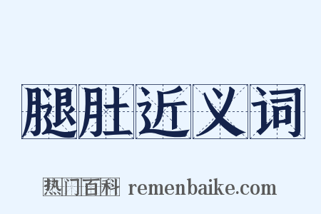 腿肚近义词是什么意思的图片